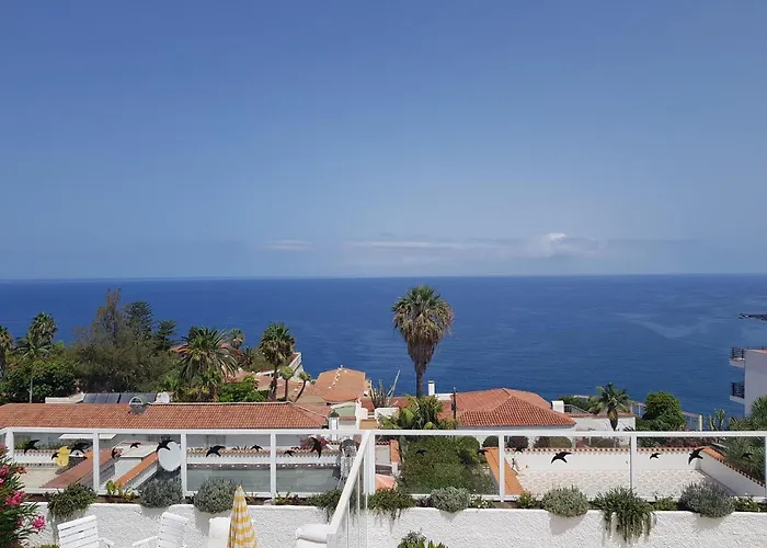 Casa Ammerland Daire *